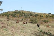 Serra da Paradanta